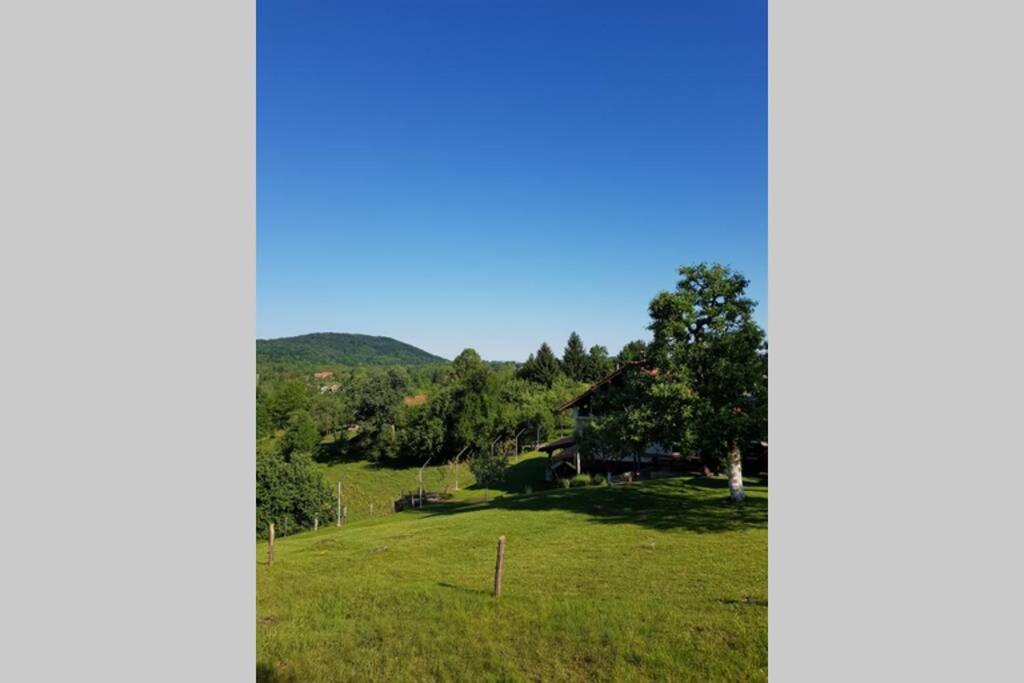 Guest House Pinus Generalski Stol Zewnętrze zdjęcie
