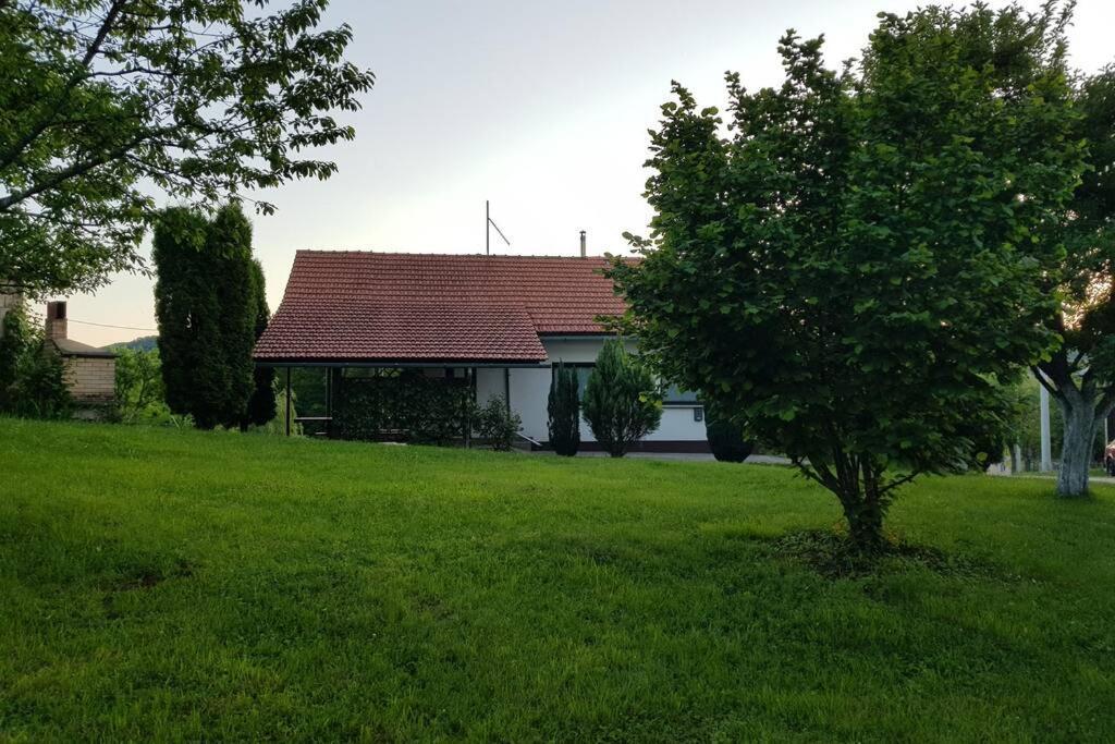 Guest House Pinus Generalski Stol Zewnętrze zdjęcie