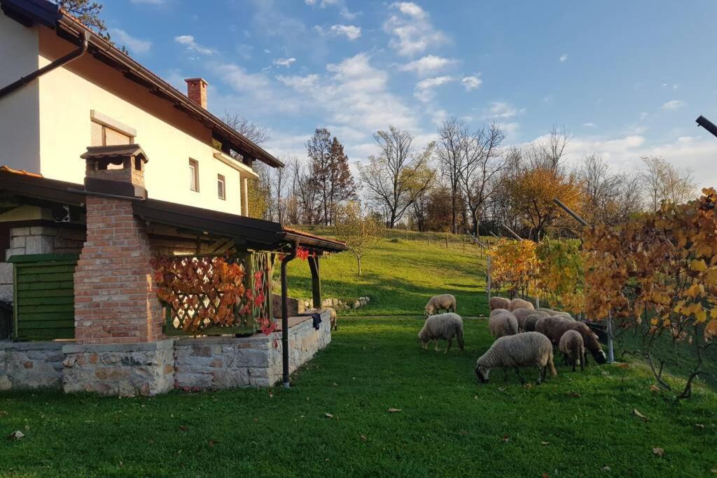 Guest House Pinus Generalski Stol Zewnętrze zdjęcie
